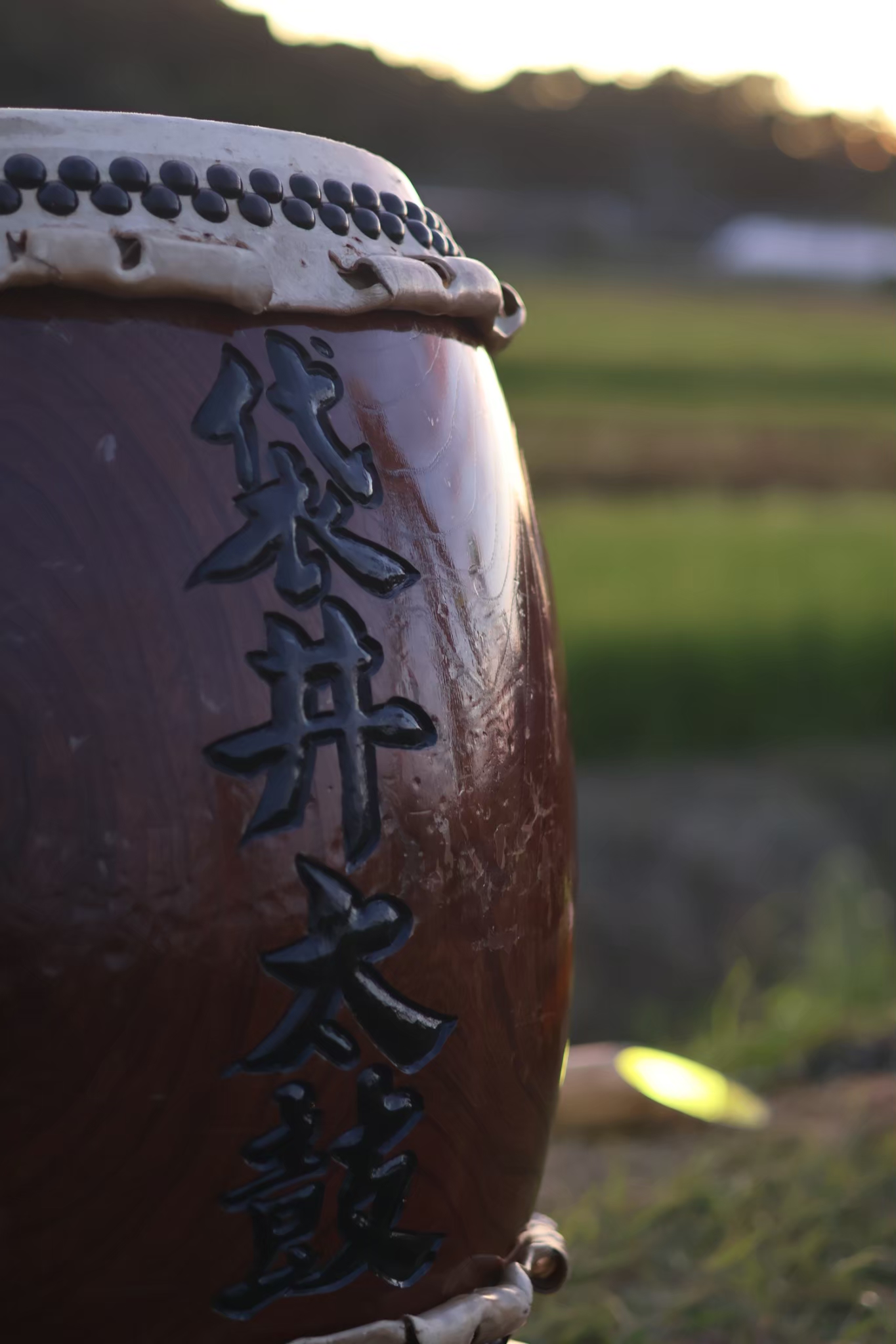 新規会員について